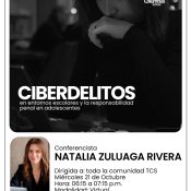 Ciberdelitos