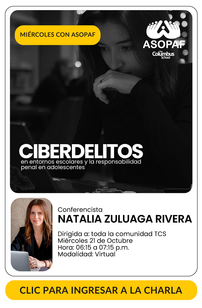 Ciberdelitos